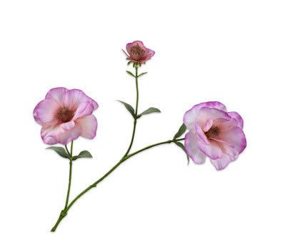 Silk ka lisianthus tak roze