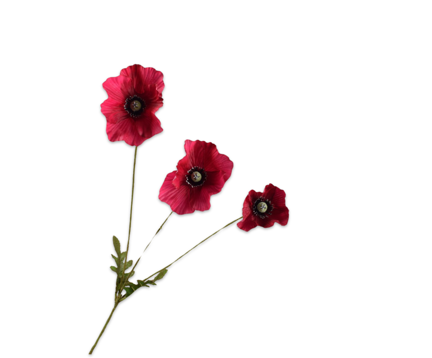 Silk ka klaproos tak fuchsia