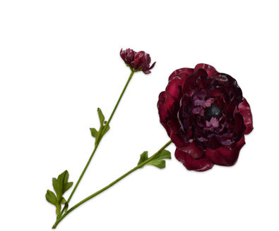 Silk ka ranonkel tak Bordeaux