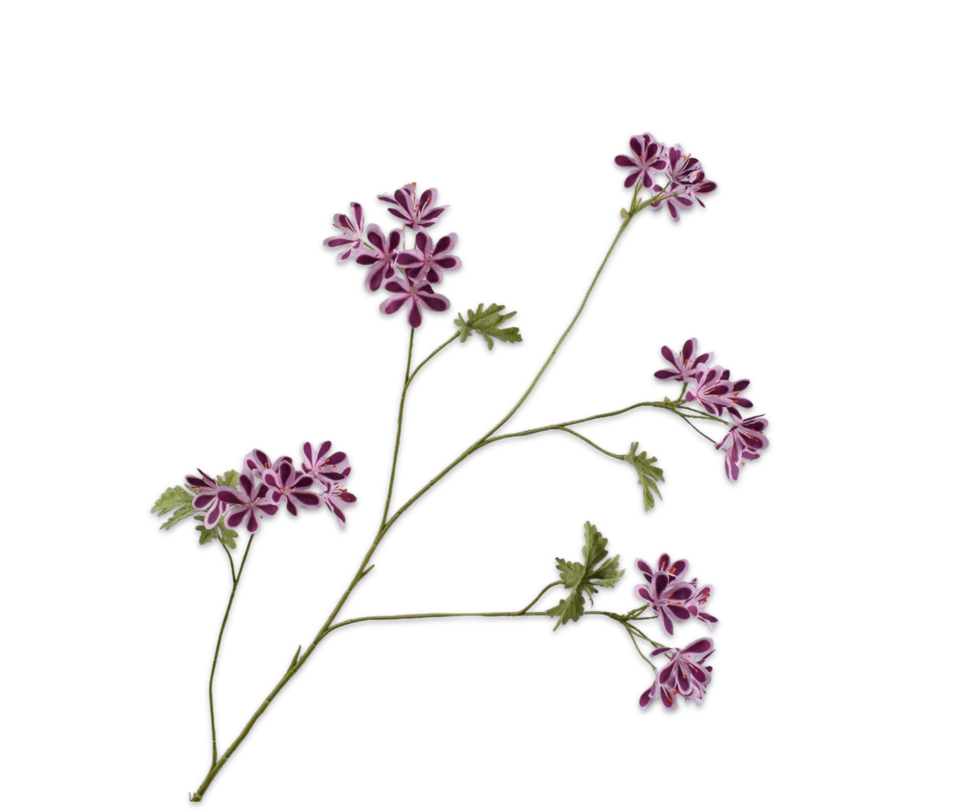 Silk ka geranium paars
