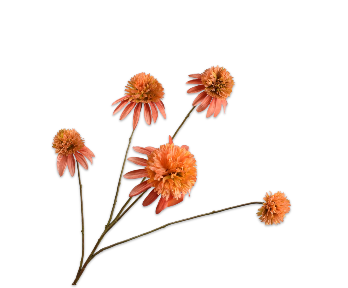 Silk ka rudbeckia tak zalm