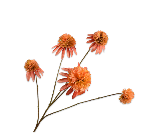 Silk ka rudbeckia tak zalm