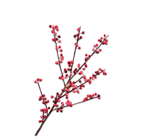 Silk ka bessentak roze/rood