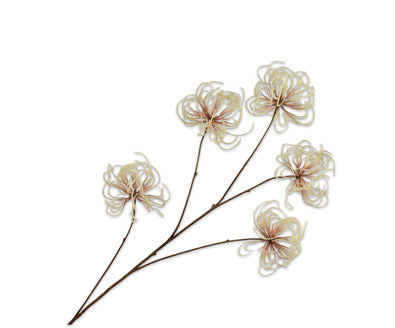 Silk ka clematis
