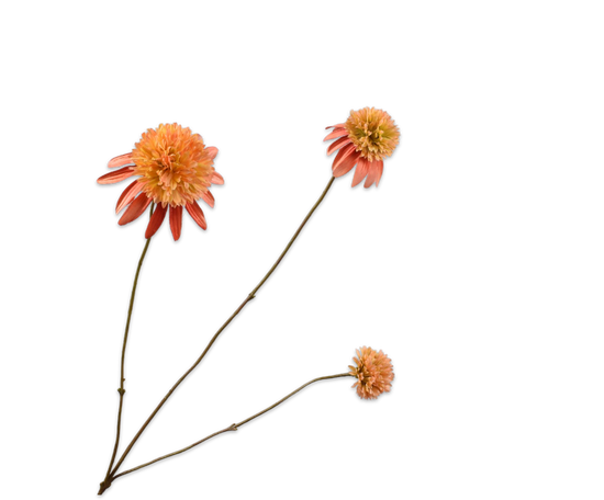 Silk ka rudbeckia tak zalm