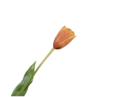 Silk ka tulp steel geel/oranje