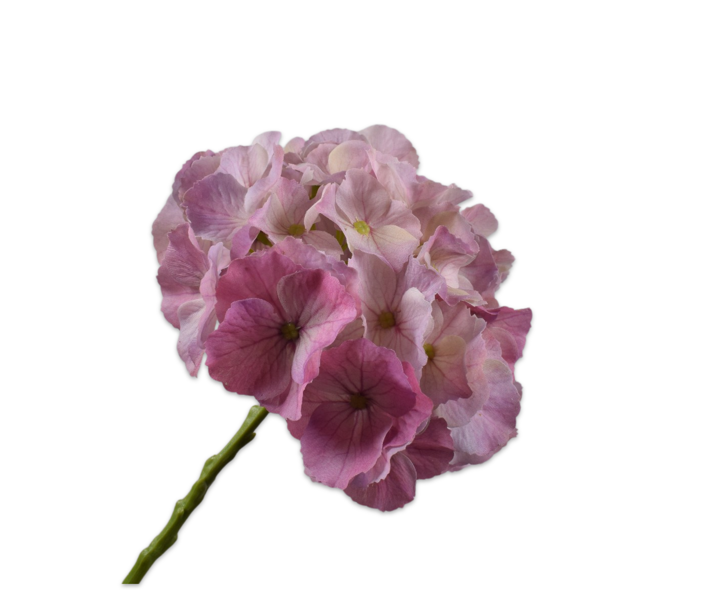 Silk ka hortensia roze lila