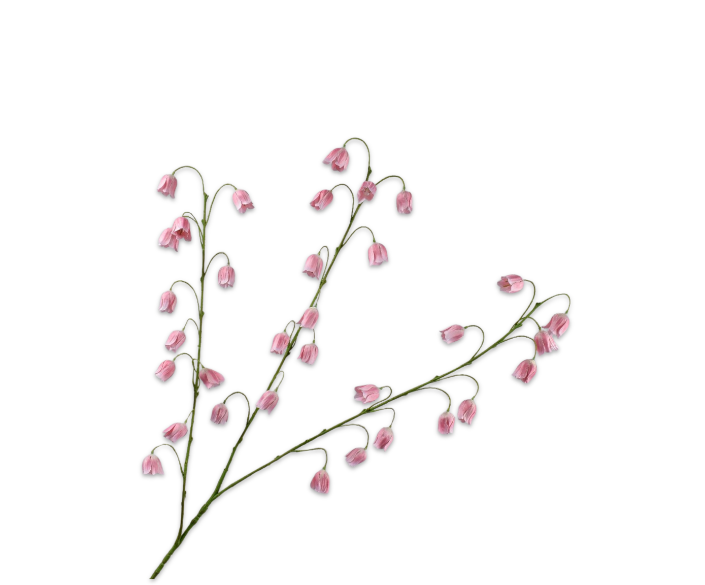 Silk ka frittilaria tak roze