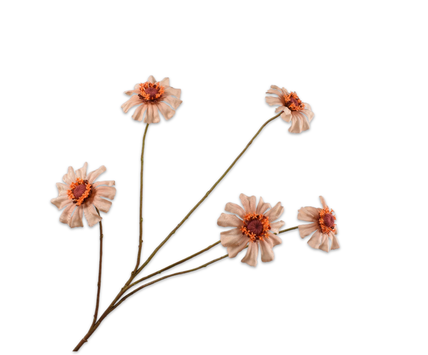Silk ka zinnia perzik groot