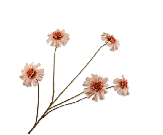 Silk ka zinnia perzik groot
