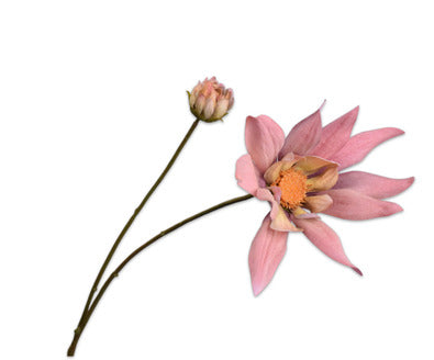 Silk ka dahlia tak