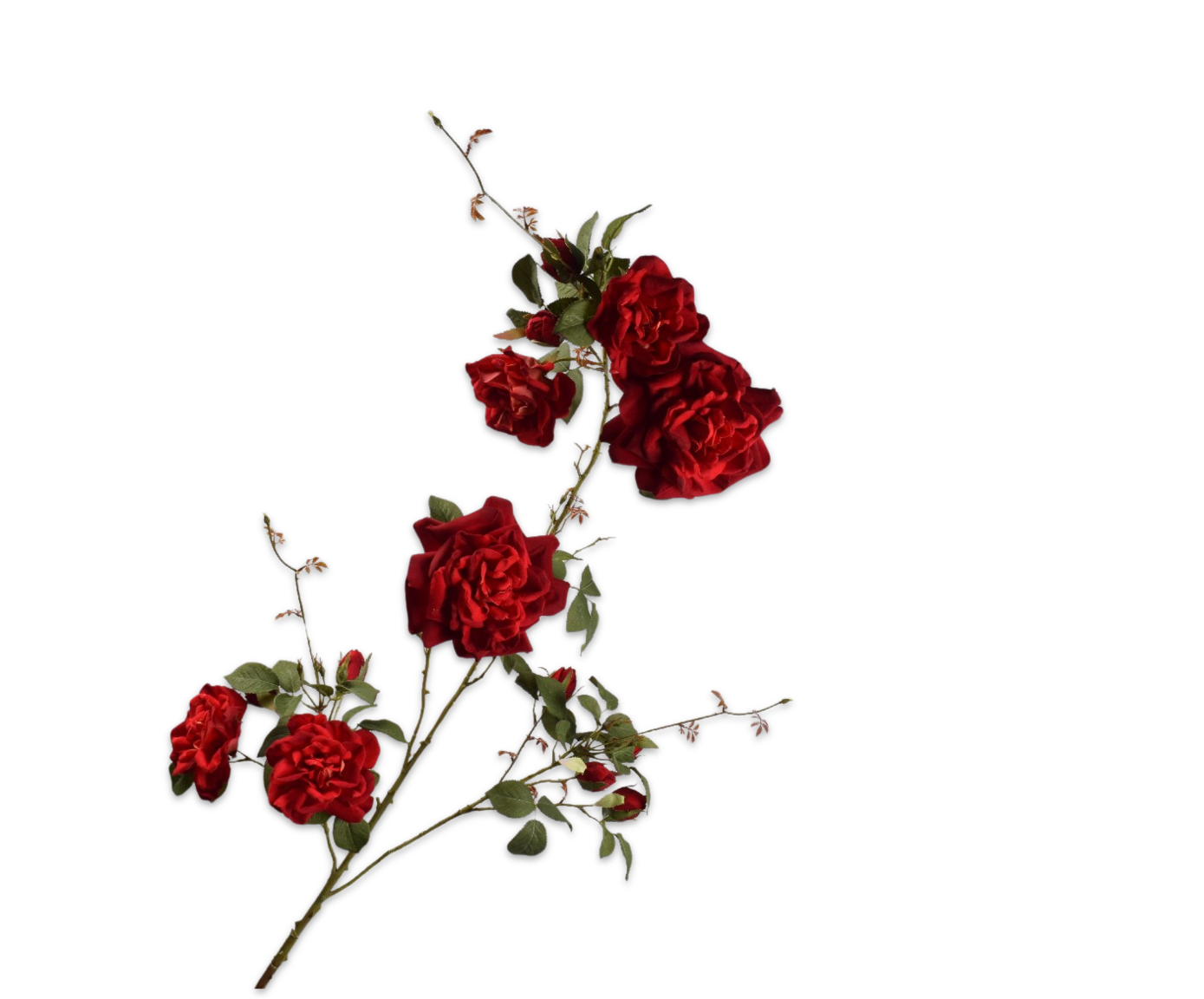 Silk ka Roos tak rood