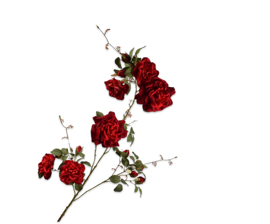Silk ka Roos tak rood