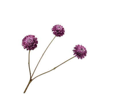 Silk ka chrysant paars