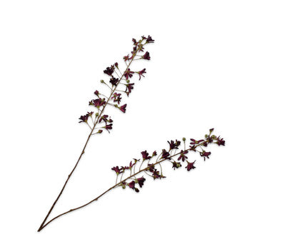 Silk ka hyacint tak Bordeaux