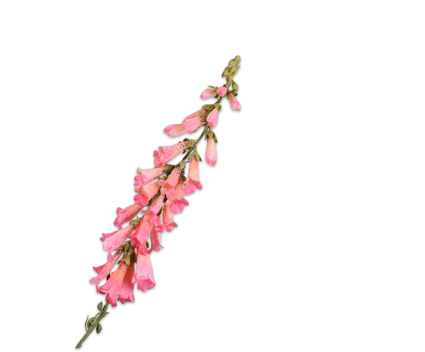 Silk ka digitalis roze