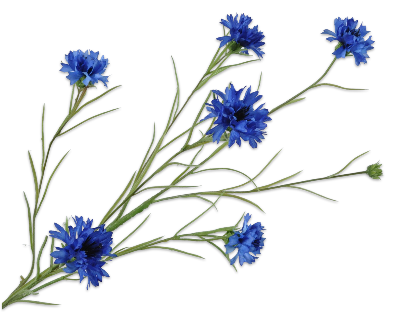 Silk ka korenbloem tak blauw