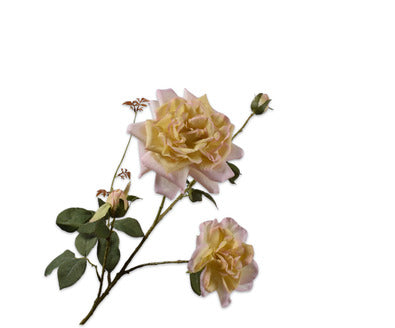 Silk ka roos roze/geel