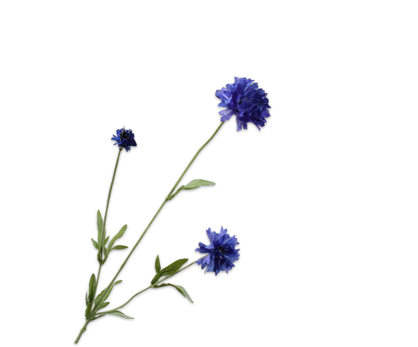 Silk ka korenbloem tak lavendel