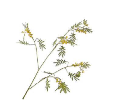 Silk ka mimosa tak geel/groen