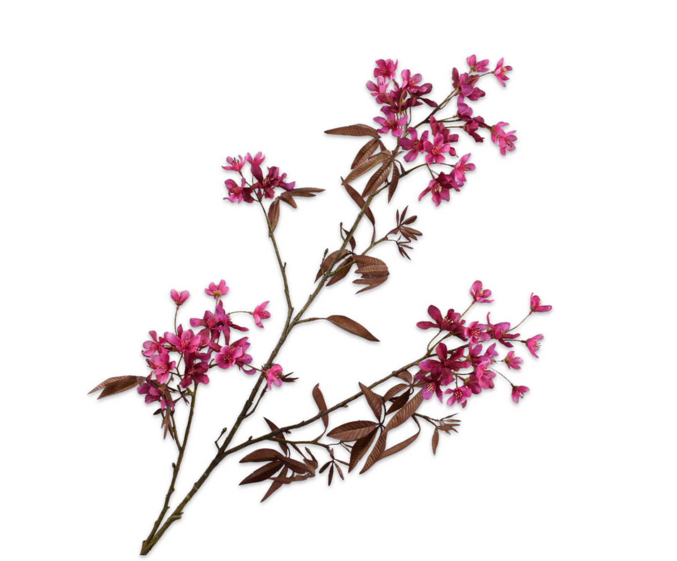 Silk ka bloesem tak beauty