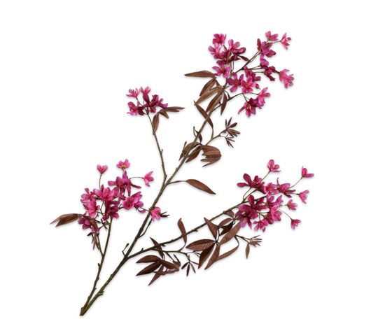 Silk ka bloesem tak beauty