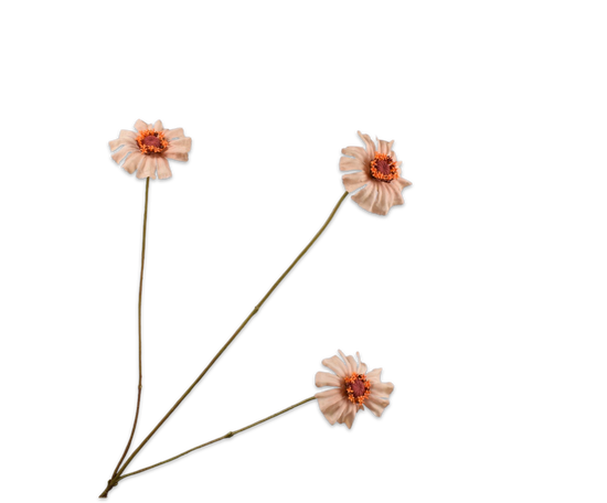Silk ka zinnia perzik