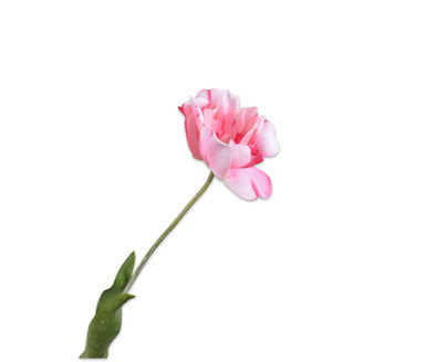 Silk ka tulp steel roze