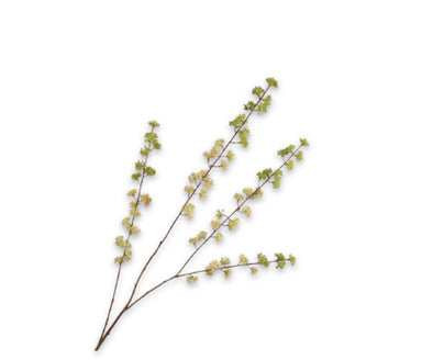 Silk ka bessentak groen/wit