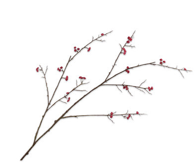 Silk ka euonymus tak roze