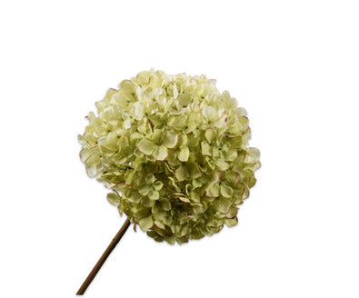 Silk ka hortensia groen