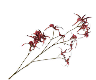Silk ka orchidee