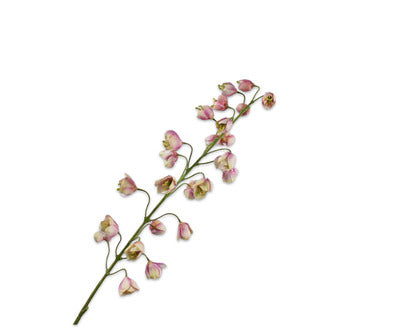 Silk ka fritillaria tak crème/roze