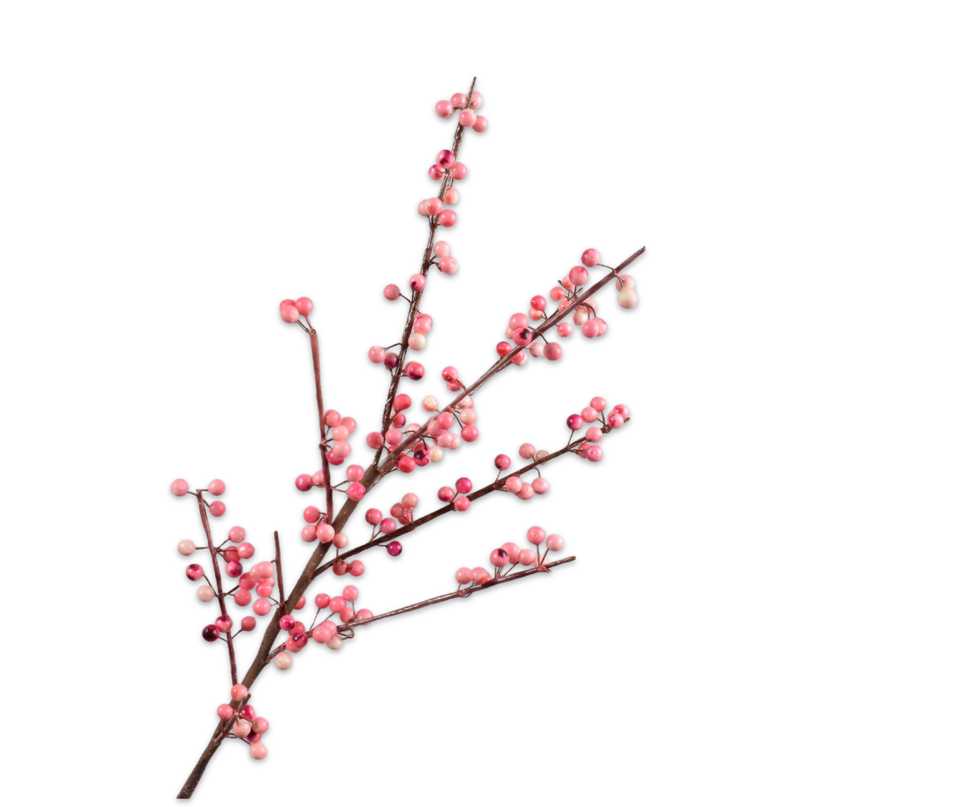 Silk ka bessentak roze