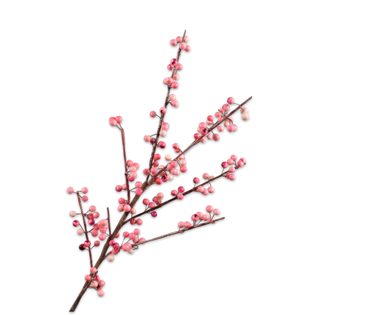 Silk ka bessentak roze