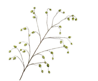 Silk ka hop tak groen
