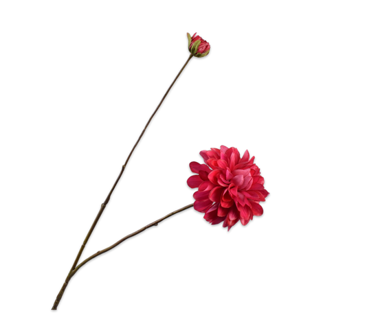 Silk ka real touch dahlia tak beauty