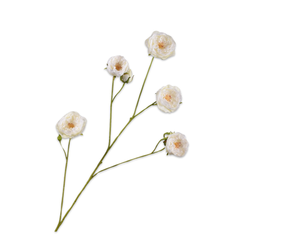 Silk ka Roos tak crème