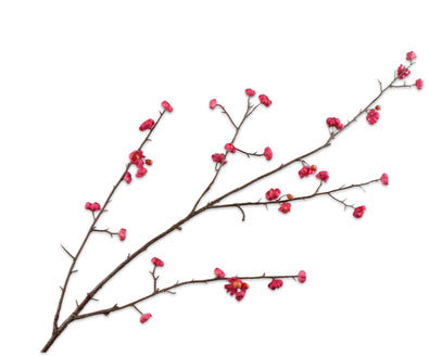 Silk ka bessentak roze