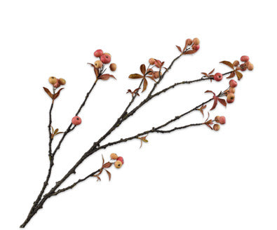 Silk ka appeltak geel/rood