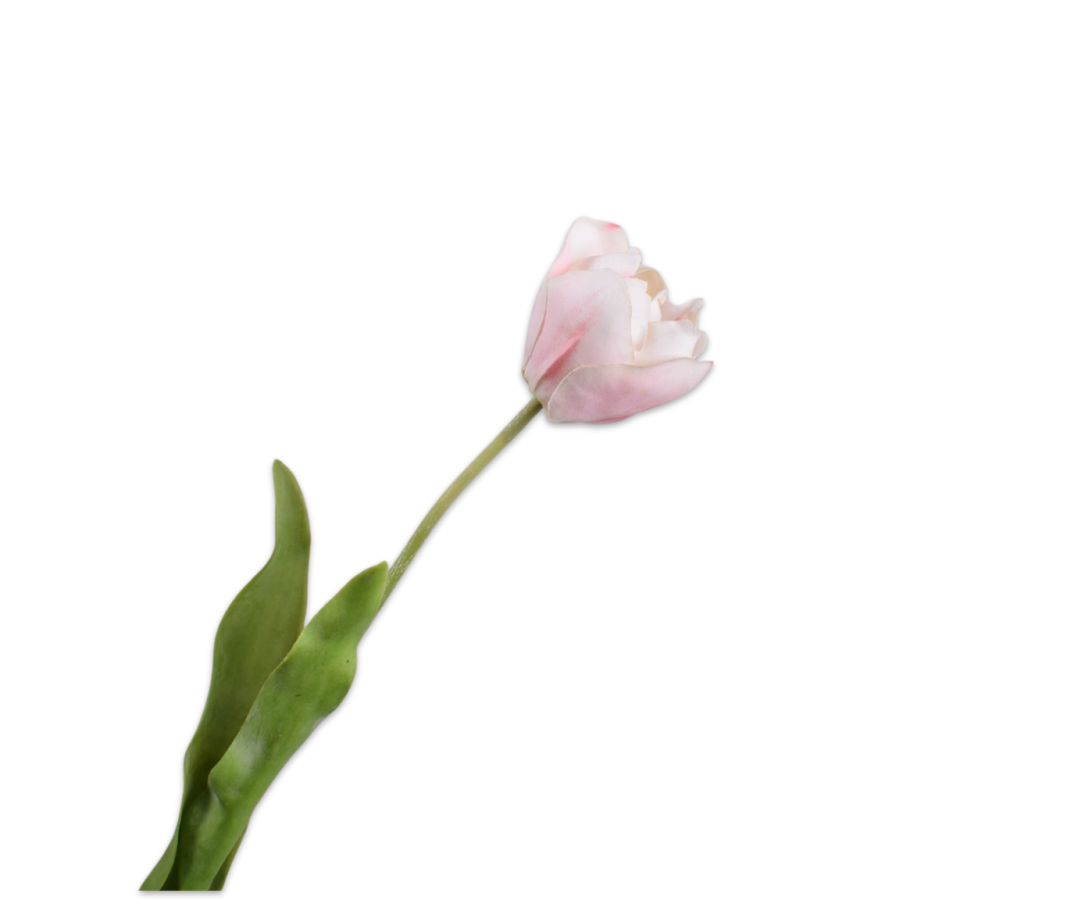 Silk ka tulp real touch