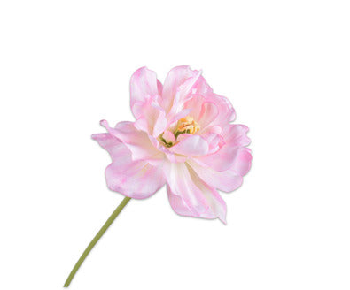 Silk ka tulp steel roze