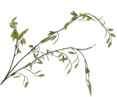 Silk ka grastak