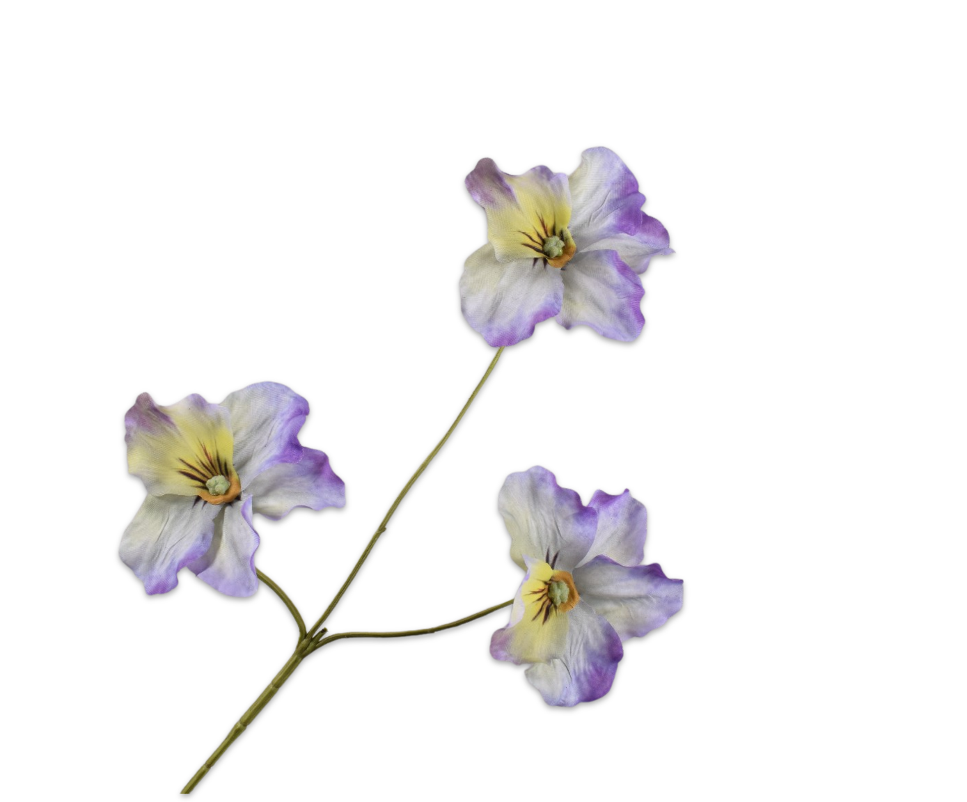 Silk ka viool tak lavendel/ creme