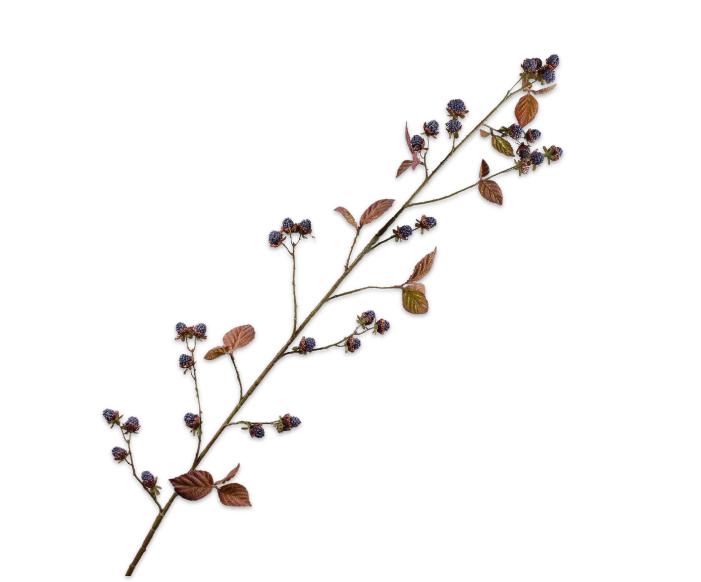 Silk ka braamtak blauw met blad