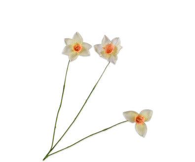 Silk ka narcis tak licht geel