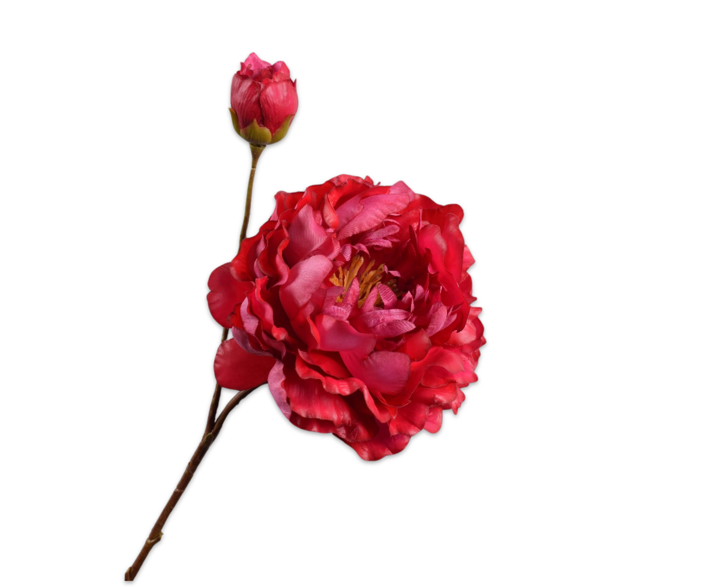 Silk ka pioen tak beauty