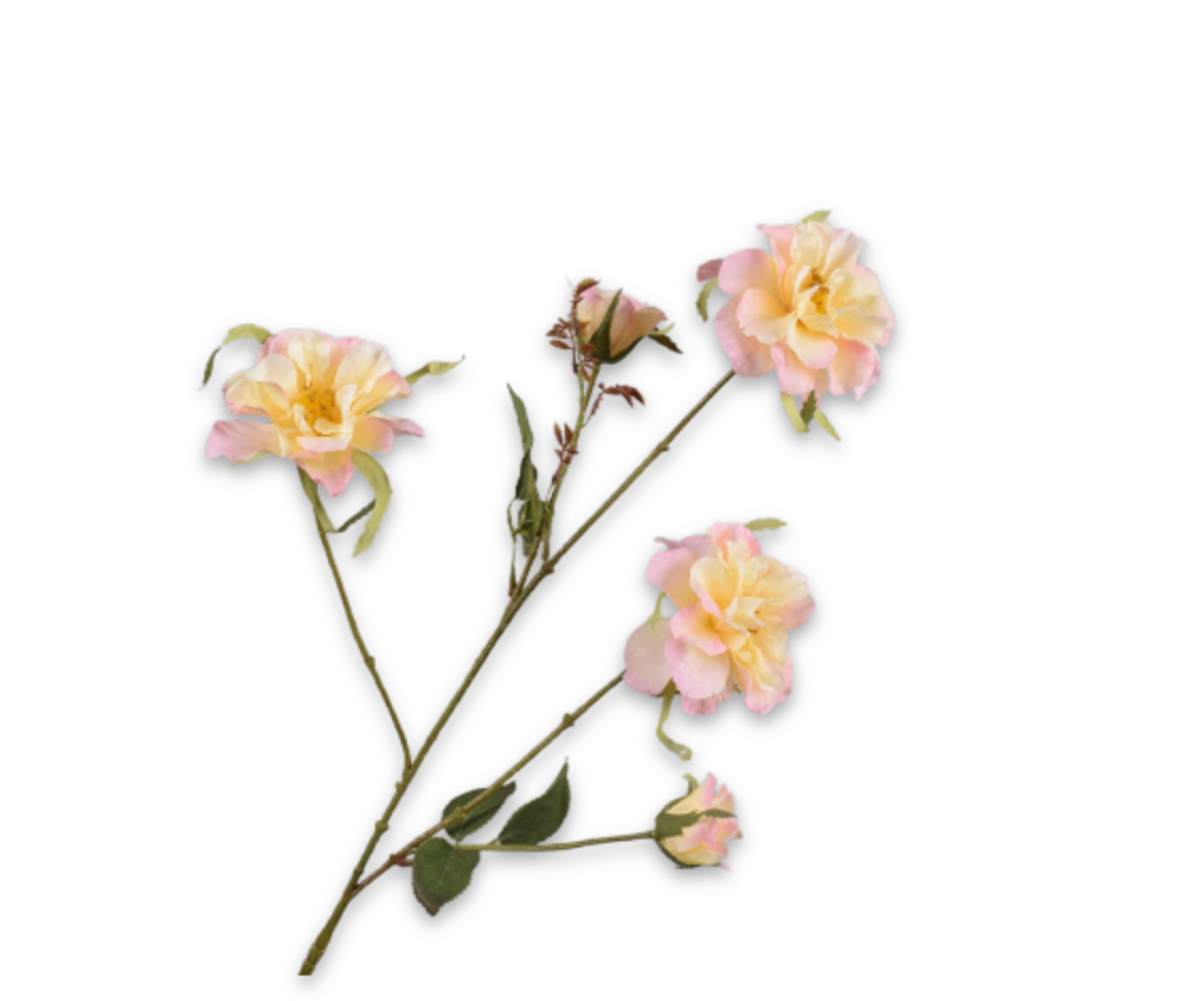 Silk ka trosroos geel/ roze