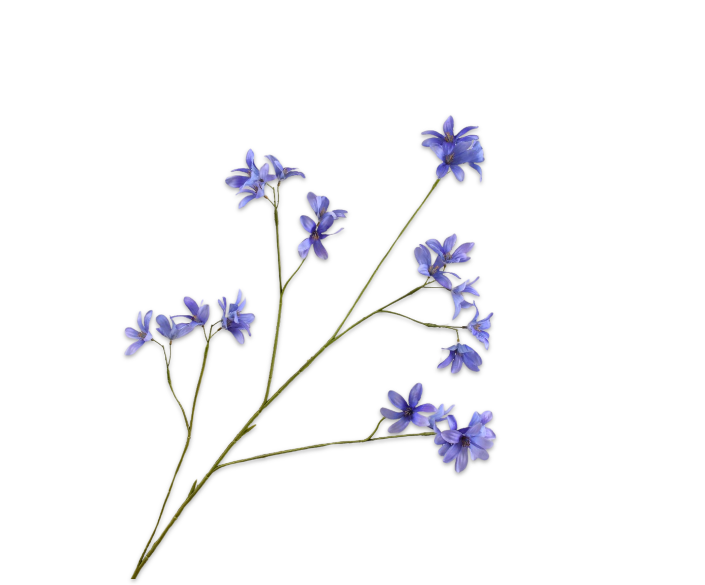 Silk ka hyacint tak blauw