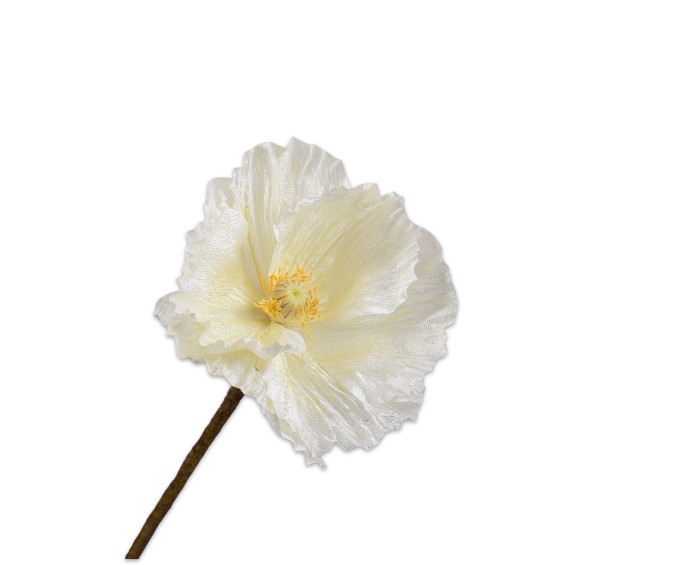 Silk ka klaproos creme